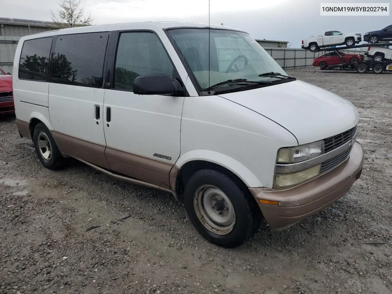 2000 Chevrolet Astro VIN: 1GNDM19W5YB202794 Lot: 55563265