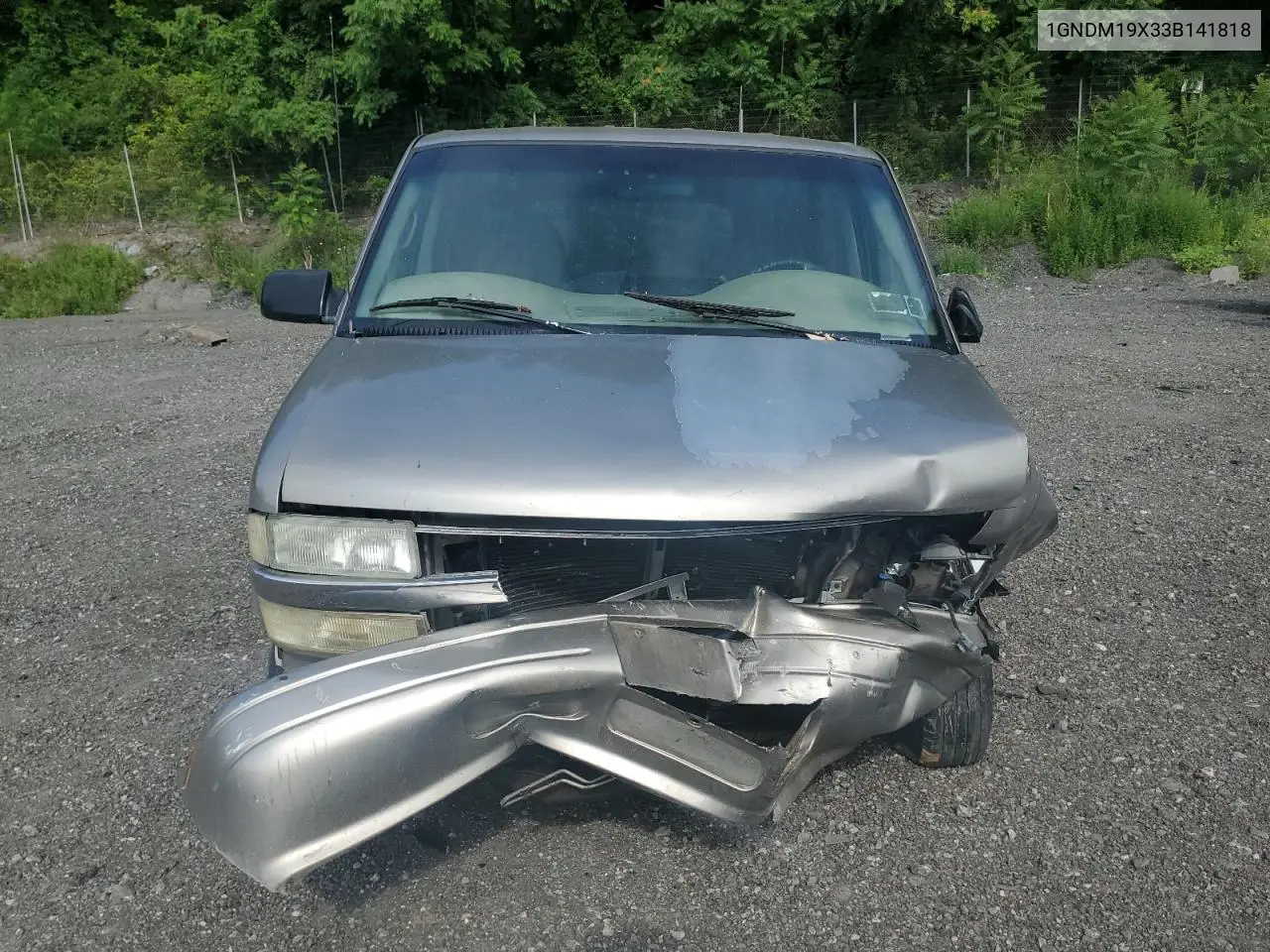 2003 Chevrolet Astro VIN: 1GNDM19X33B141818 Lot: 64493255