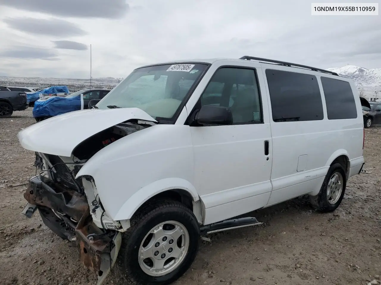 2005 Chevrolet Astro VIN: 1GNDM19X55B110959 Lot: 49787505