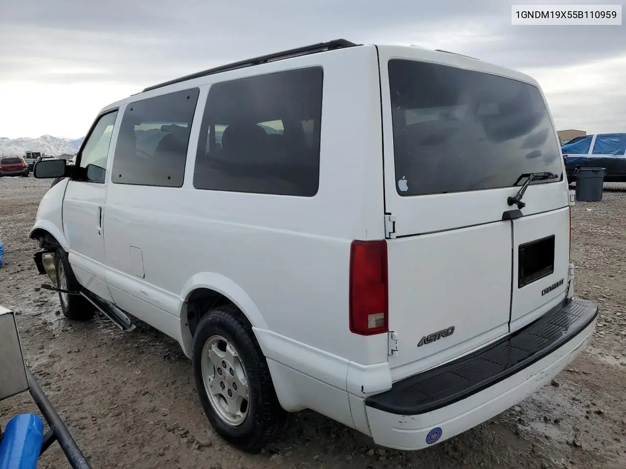 2005 Chevrolet Astro VIN: 1GNDM19X55B110959 Lot: 49787505