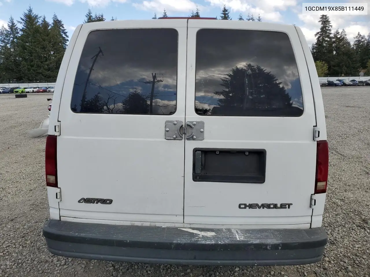 2005 Chevrolet Astro VIN: 1GCDM19X85B111449 Lot: 55691115