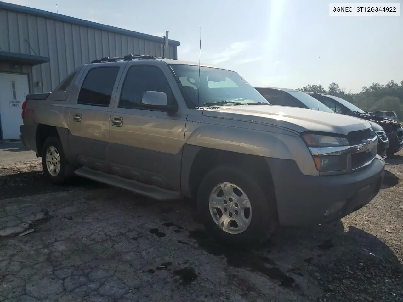 2002 Chevrolet Avalanche C1500 VIN: 3GNEC13T12G344922 Lot: 62425105