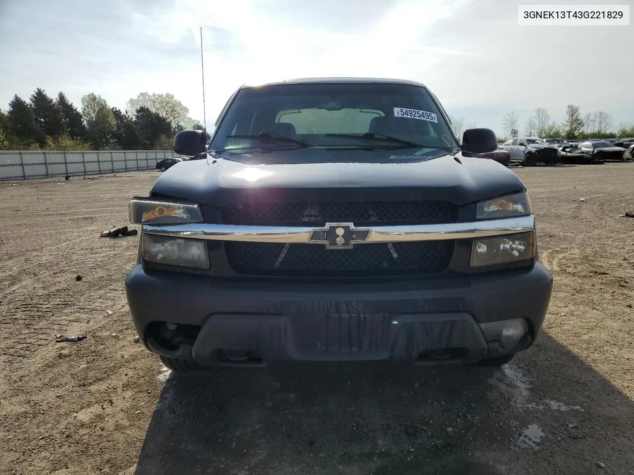 2003 Chevrolet Avalanche K1500 VIN: 3GNEK13T43G221829 Lot: 54925495