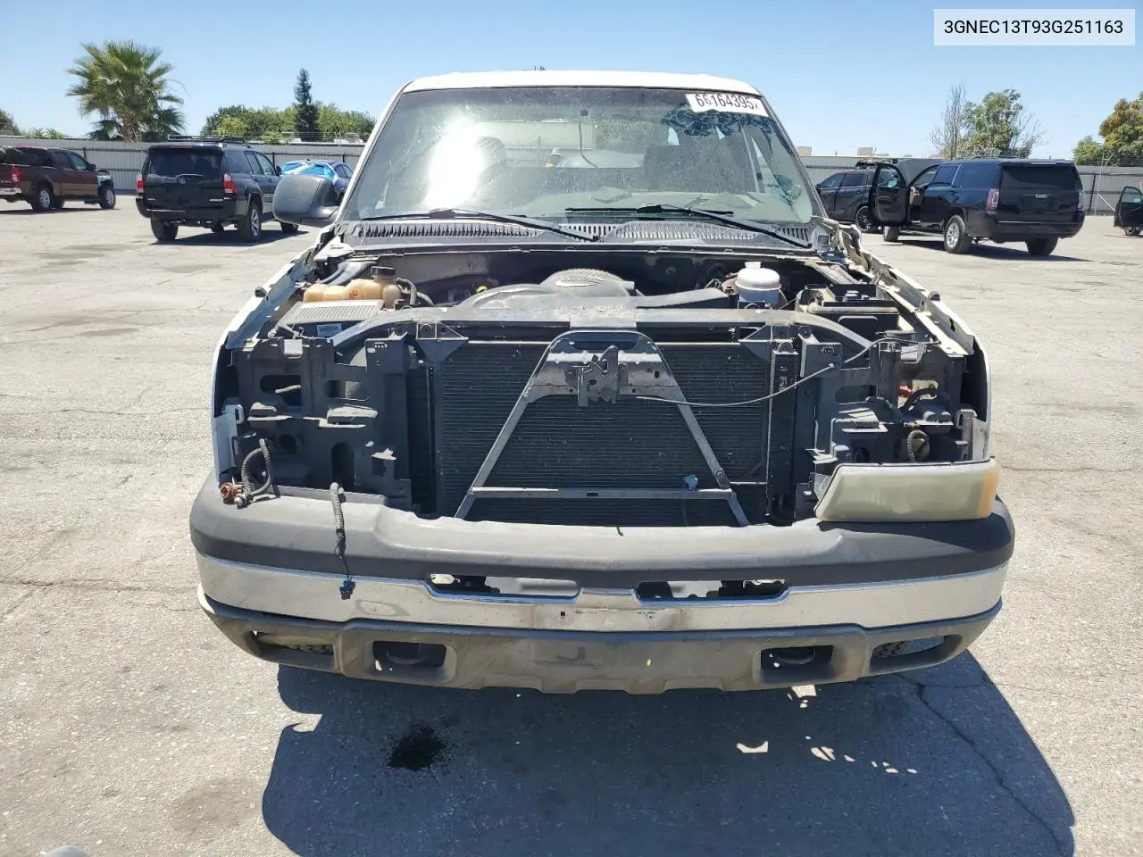2003 Chevrolet Avalanche C1500 VIN: 3GNEC13T93G251163 Lot: 66164395