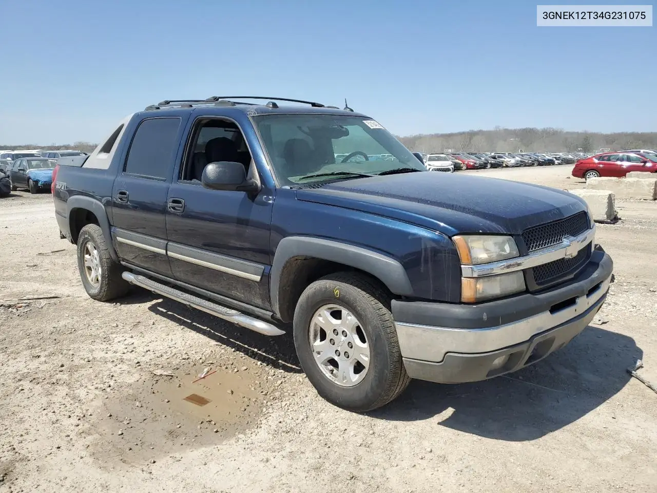 2004 Chevrolet Avalanche K1500 VIN: 3GNEK12T34G231075 Lot: 52164355