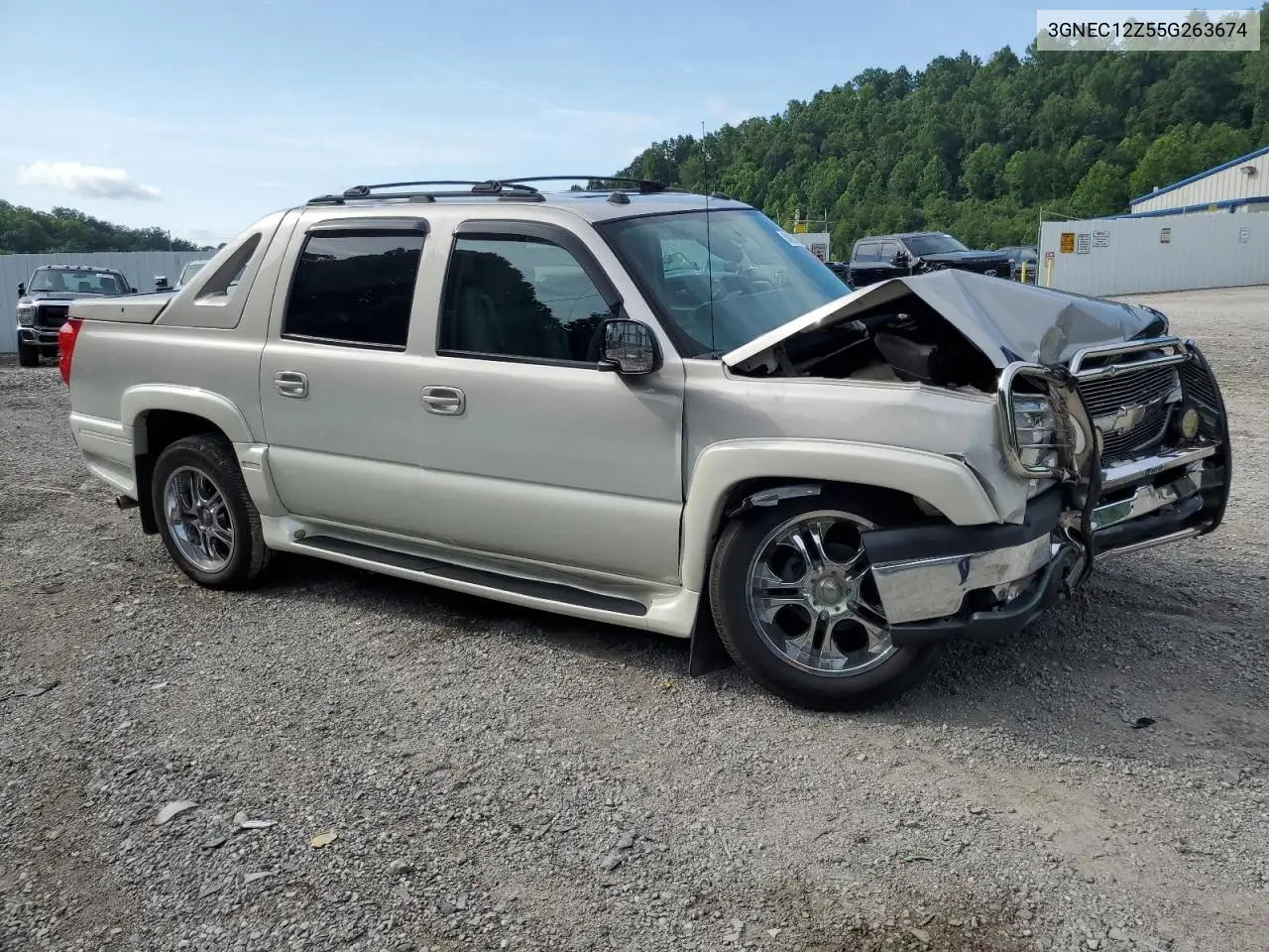 2005 Chevrolet Avalanche C1500 VIN: 3GNEC12Z55G263674 Lot: 64993185
