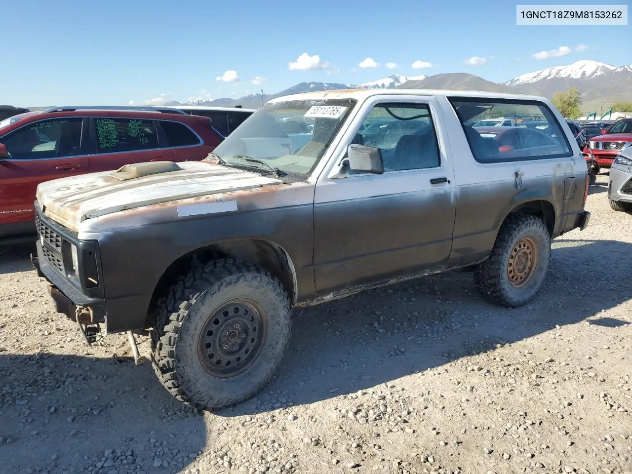 1991 Chevrolet Blazer S10 VIN: 1GNCT18Z9M8153262 Lot: 55113765