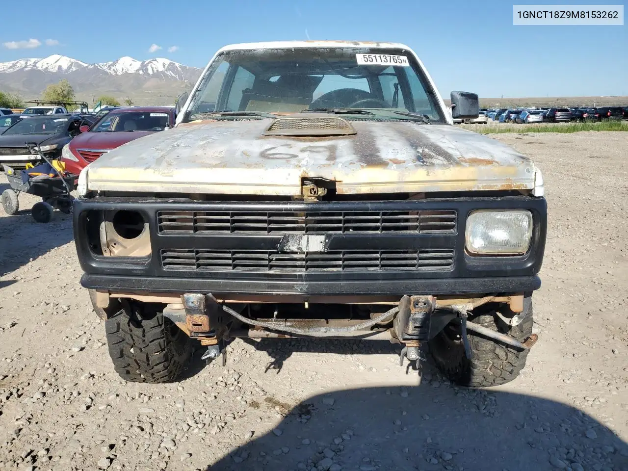 1991 Chevrolet Blazer S10 VIN: 1GNCT18Z9M8153262 Lot: 55113765