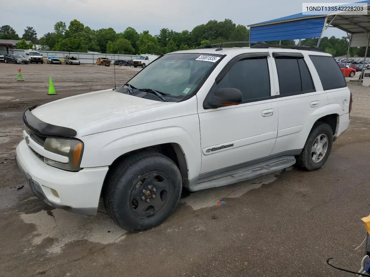 2004 Chevrolet Trailblazer Ls VIN: 1GNDT13S542228203 Lot: 55881835