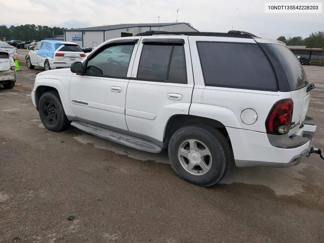 2004 Chevrolet Trailblazer Ls VIN: 1GNDT13S542228203 Lot: 55881835