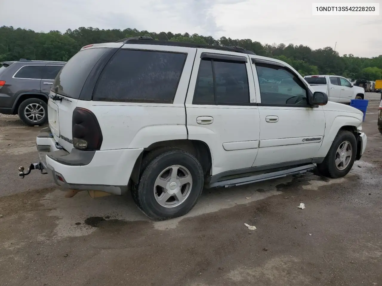 2004 Chevrolet Trailblazer Ls VIN: 1GNDT13S542228203 Lot: 55881835
