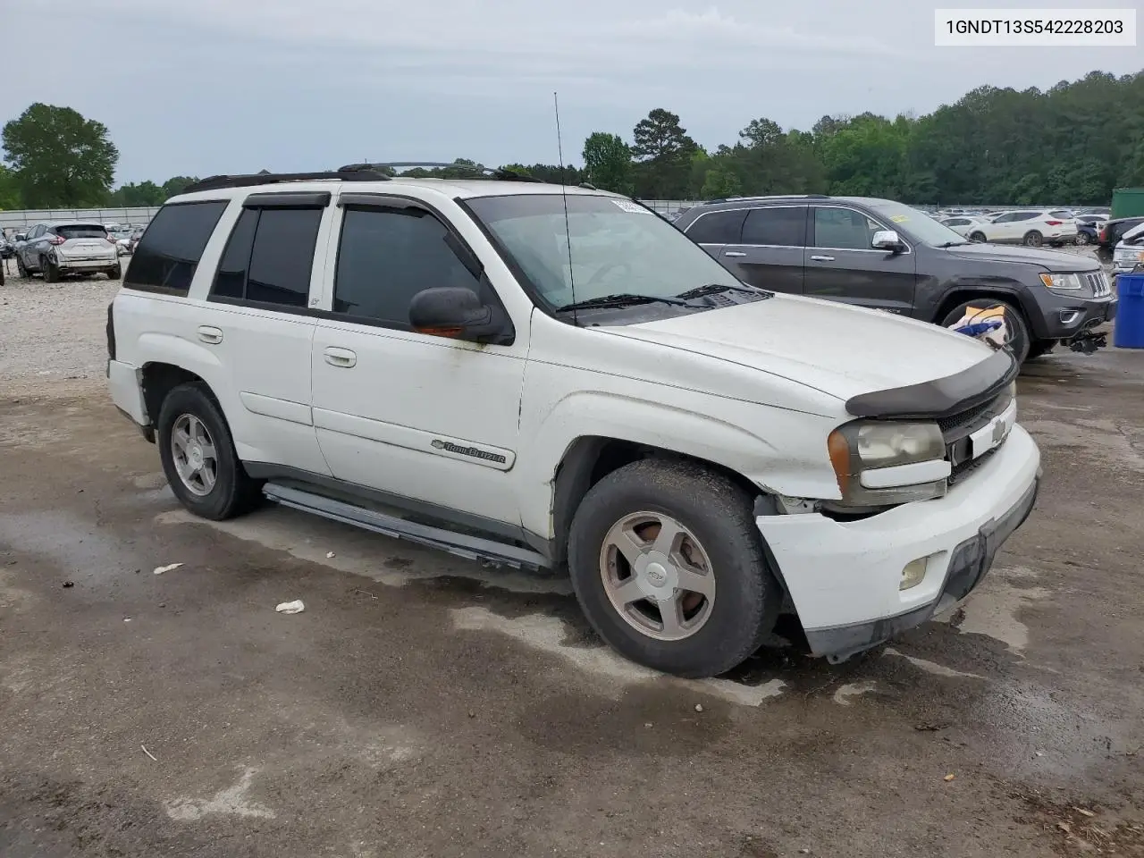 2004 Chevrolet Trailblazer Ls VIN: 1GNDT13S542228203 Lot: 55881835