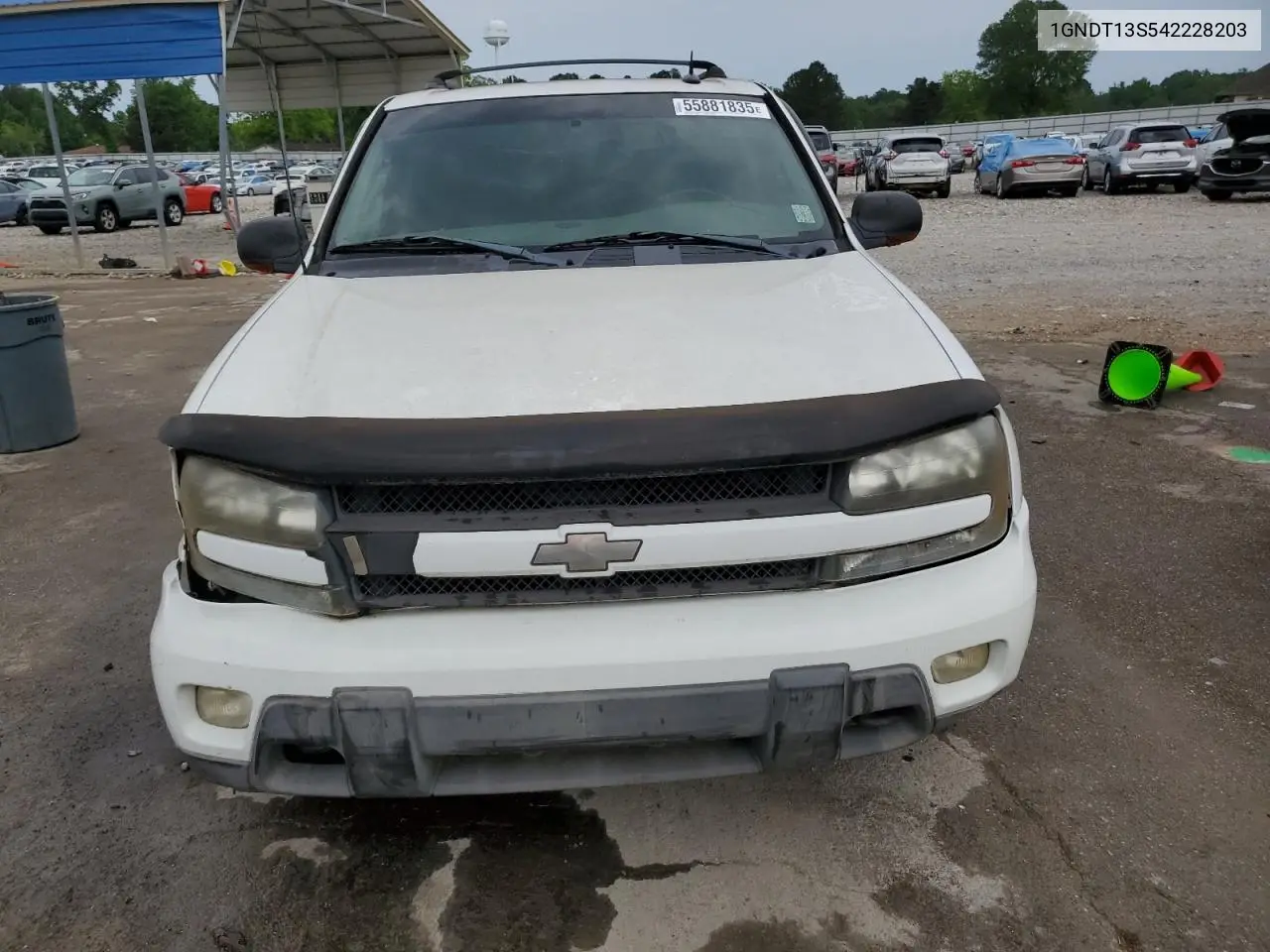 2004 Chevrolet Trailblazer Ls VIN: 1GNDT13S542228203 Lot: 55881835