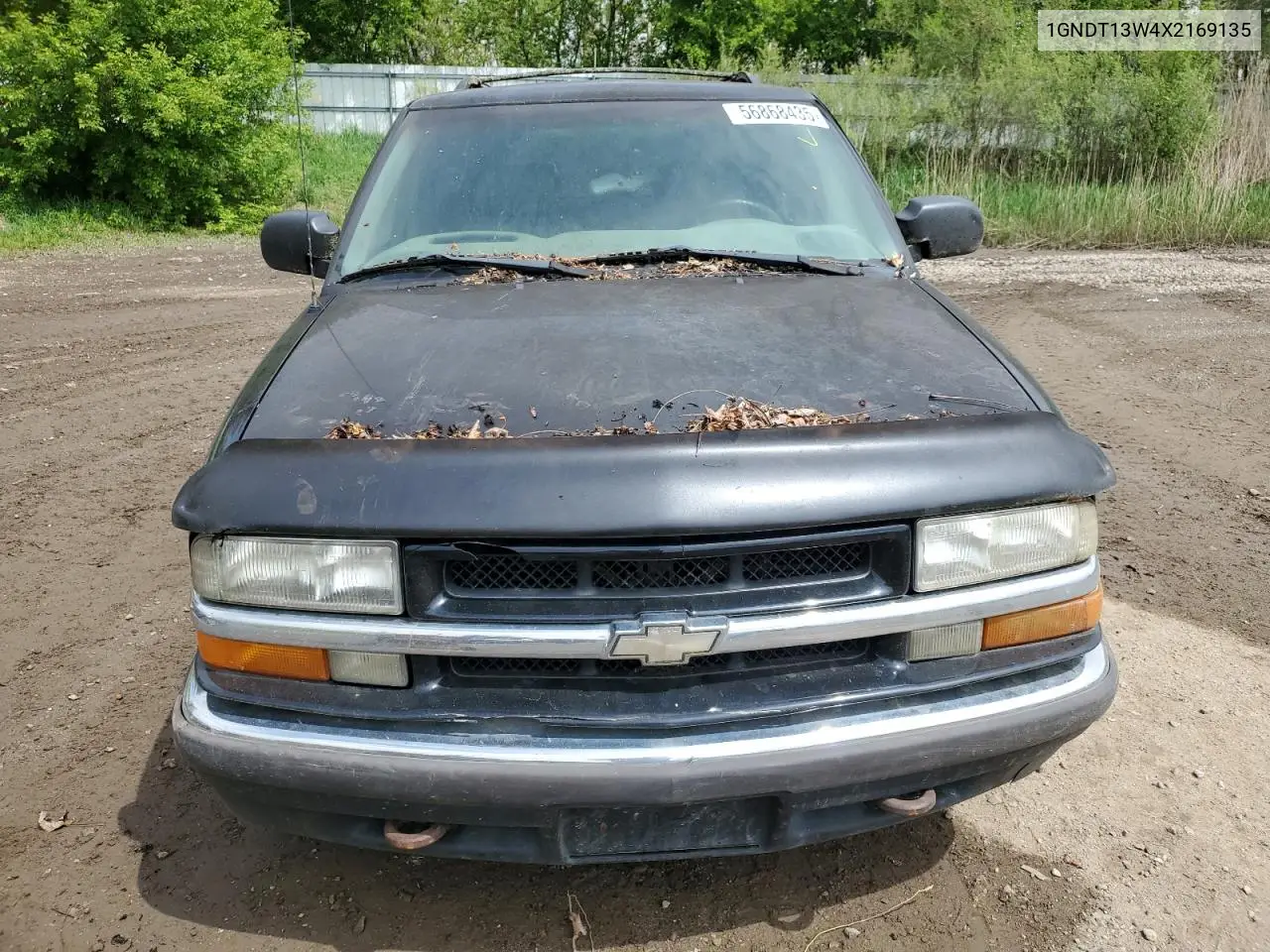 2009 Chevrolet Blazer VIN: 1GNDT13W4X2169135 Lot: 56868435