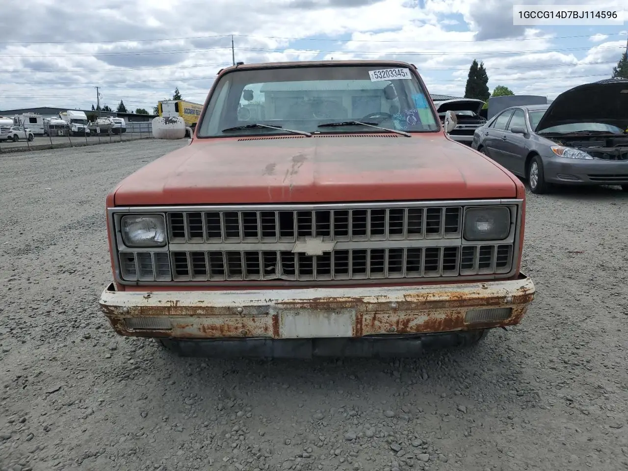 1981 Chevrolet C10 VIN: 1GCCG14D7BJ114596 Lot: 53203345