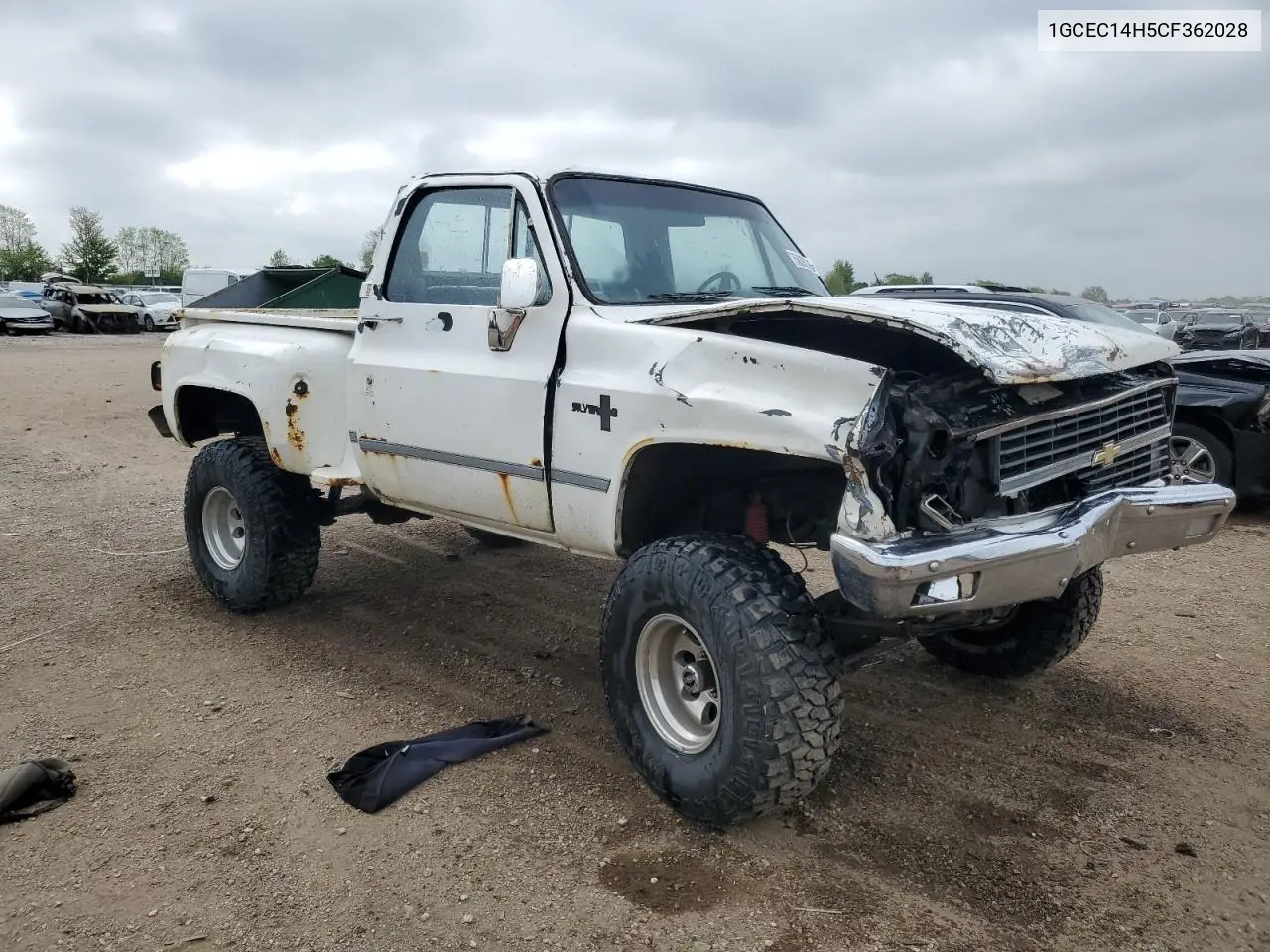 1982 Chevrolet C10 VIN: 1GCEC14H5CF362028 Lot: 56290235