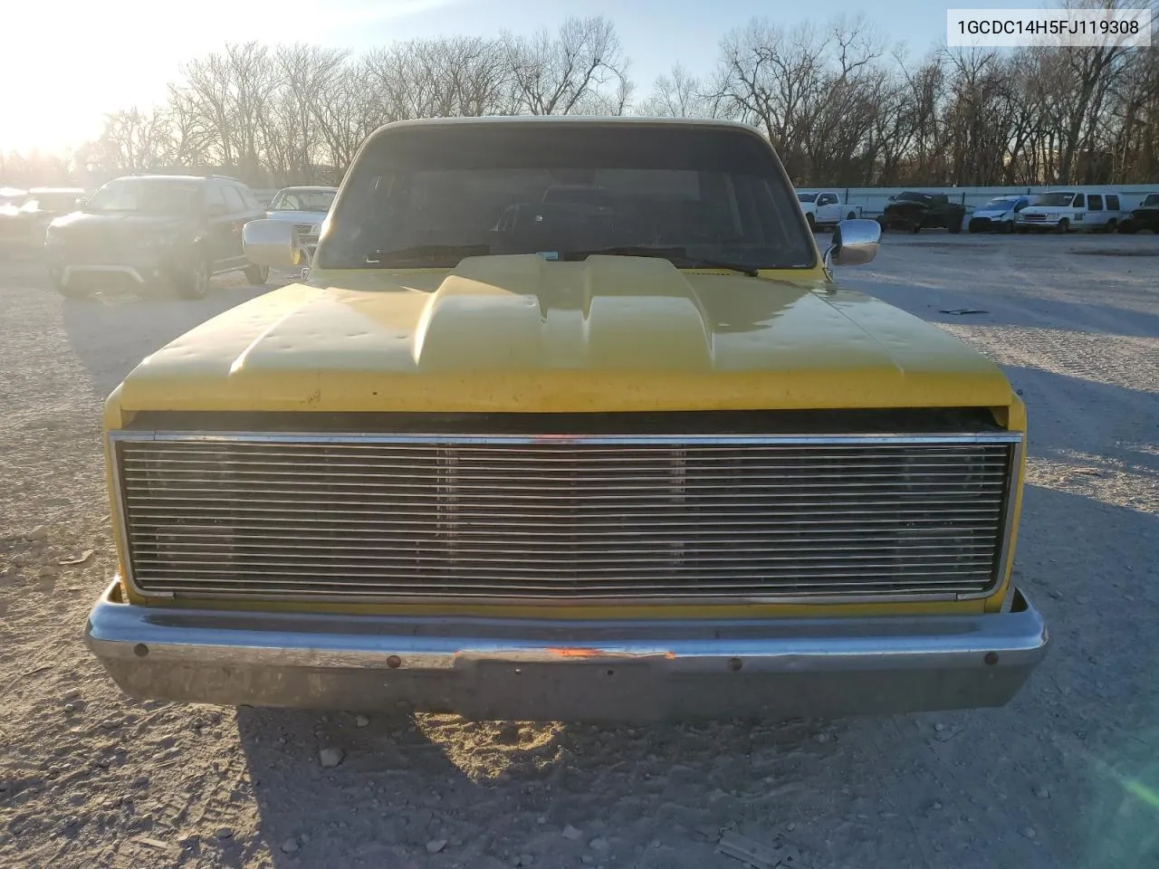 1985 Chevrolet C10 VIN: 1GCDC14H5FJ119308 Lot: 42245985