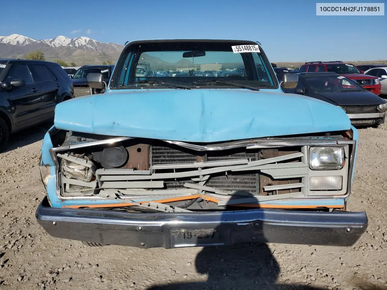 1985 Chevrolet C10 VIN: 1GCDC14H2FJ178851 Lot: 55148815