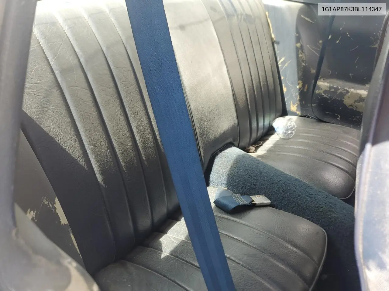 1981 Chevrolet Camaro VIN: 1G1AP87K3BL114347 Lot: 56531015
