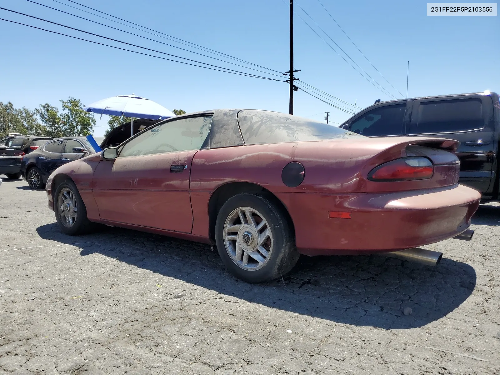 1993 Chevrolet Camaro Z28 VIN: 2G1FP22P5P2103556 Lot: 65433434