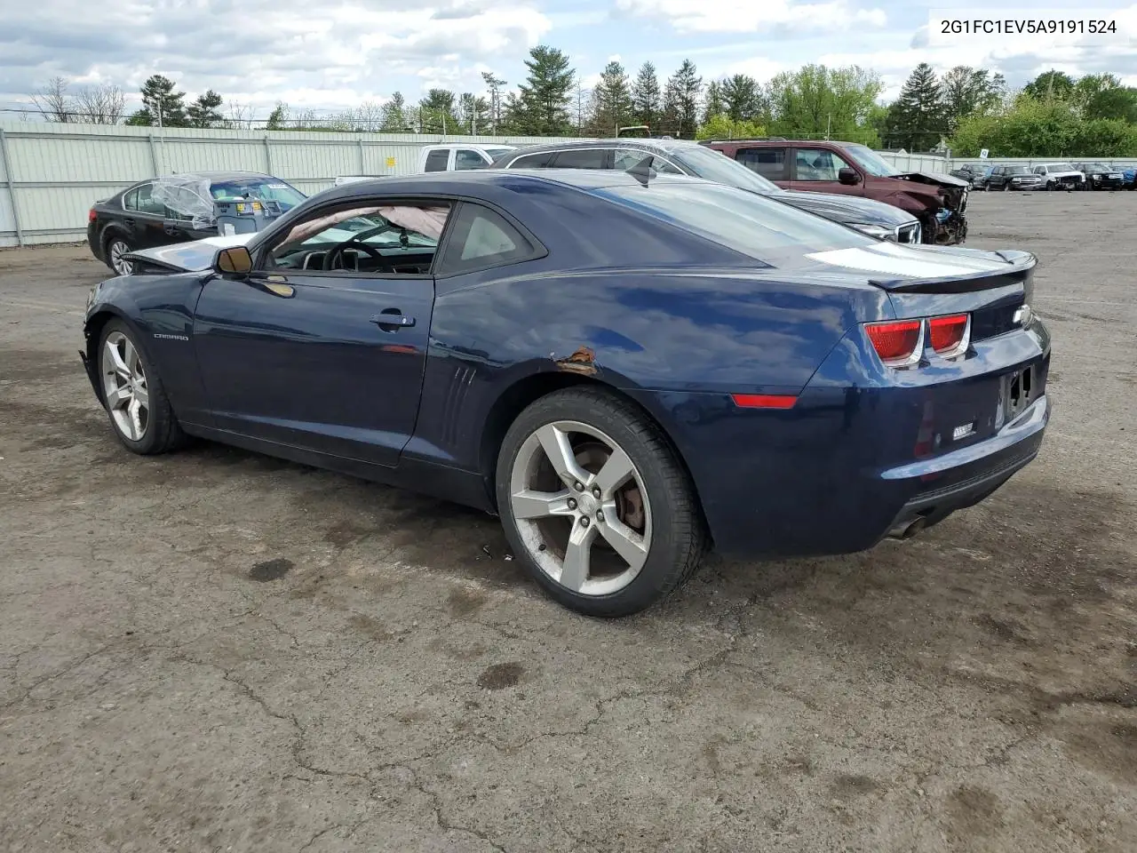2010 Chevrolet Camaro Lt VIN: 2G1FC1EV5A9191524 Lot: 55935505
