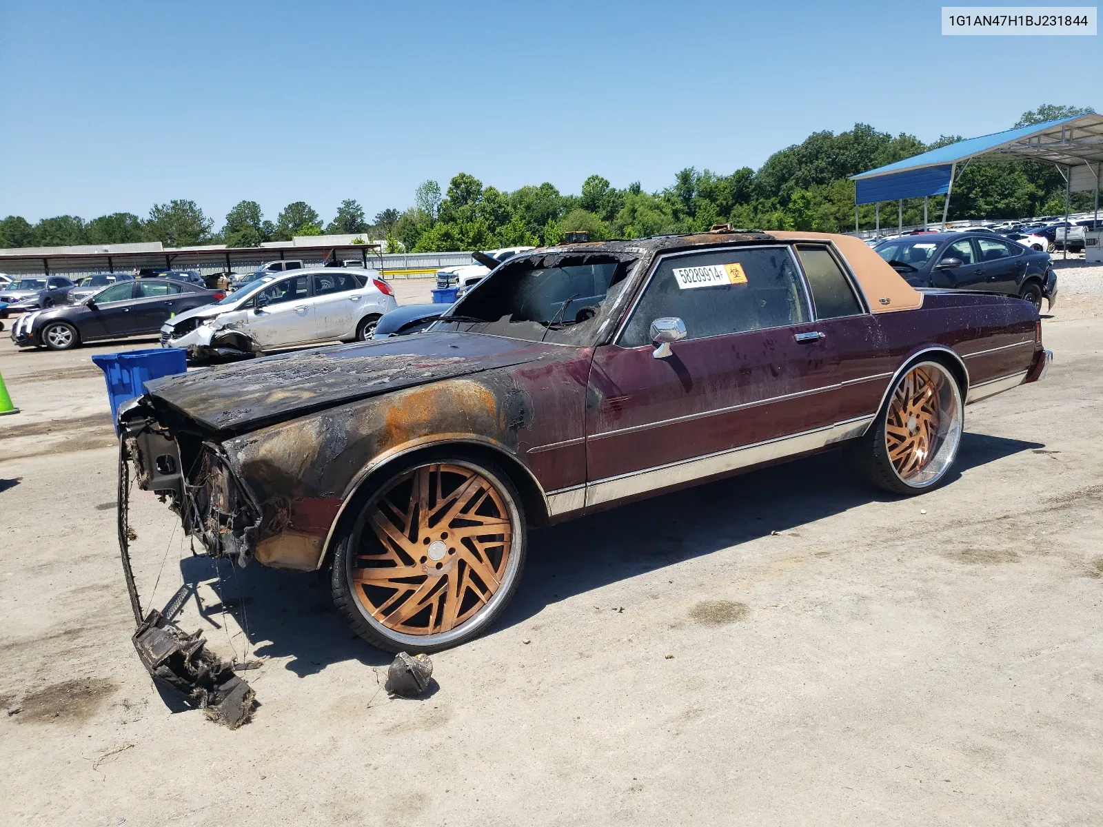 1981 Chevrolet Caprice Classic VIN: 1G1AN47H1BJ231844 Lot: 58289914