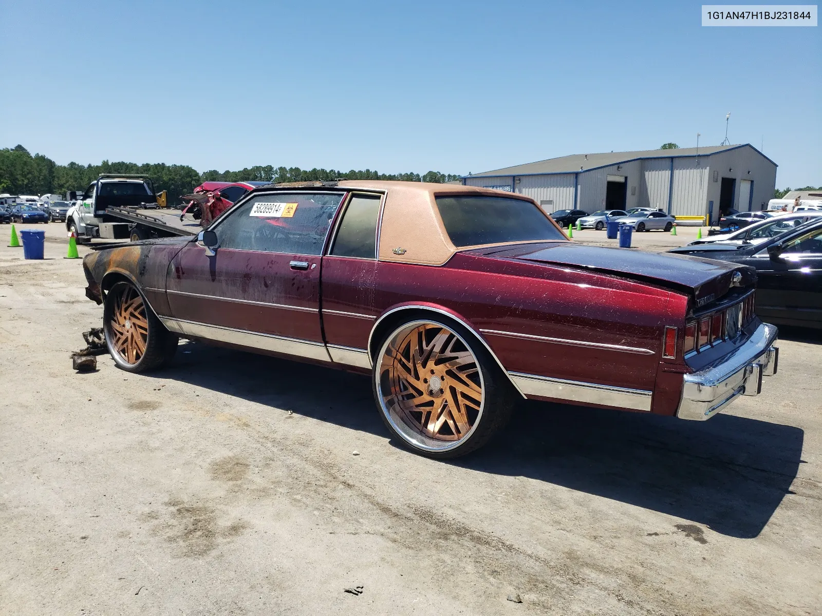 1981 Chevrolet Caprice Classic VIN: 1G1AN47H1BJ231844 Lot: 58289914