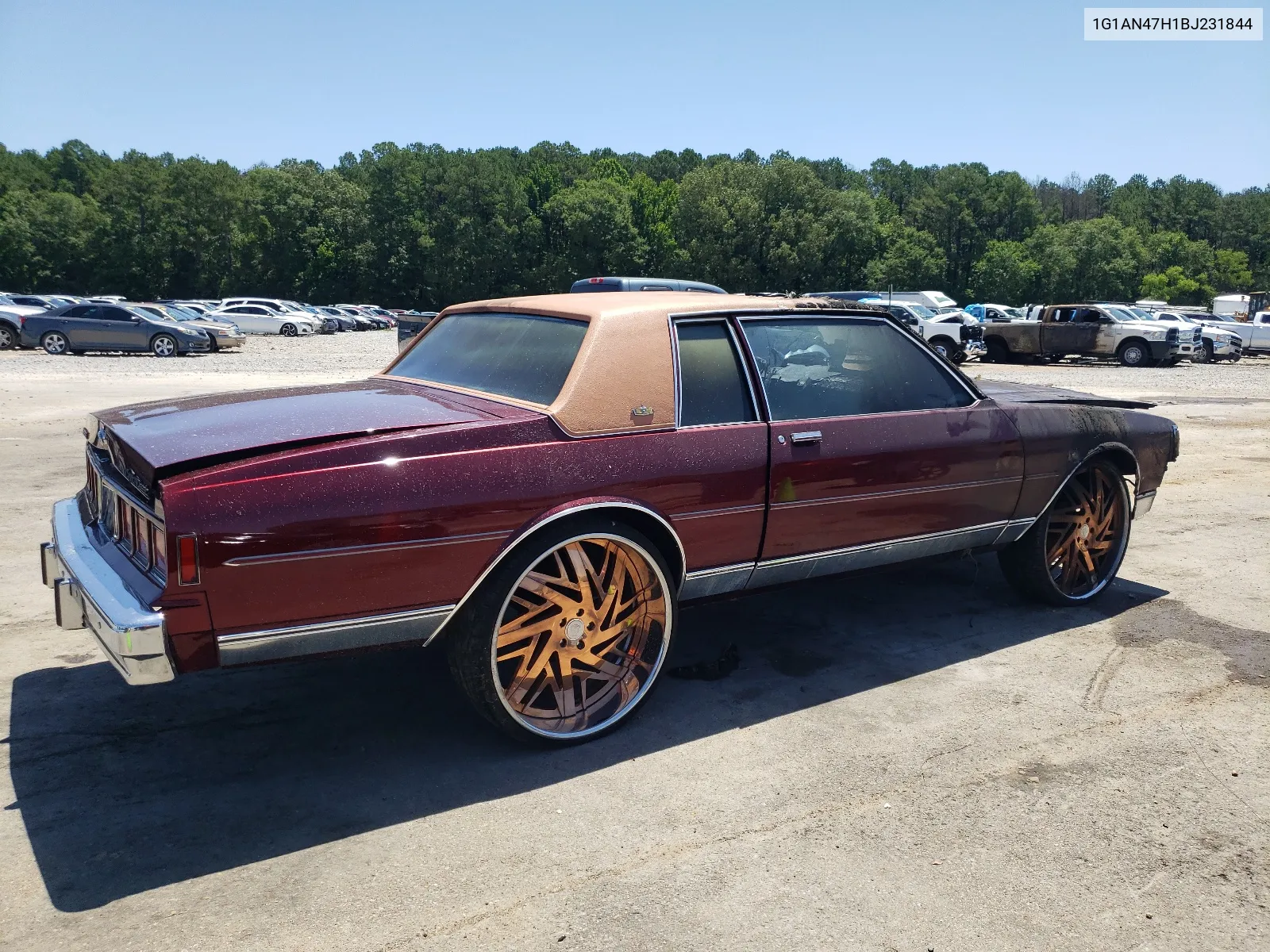 1981 Chevrolet Caprice Classic VIN: 1G1AN47H1BJ231844 Lot: 58289914