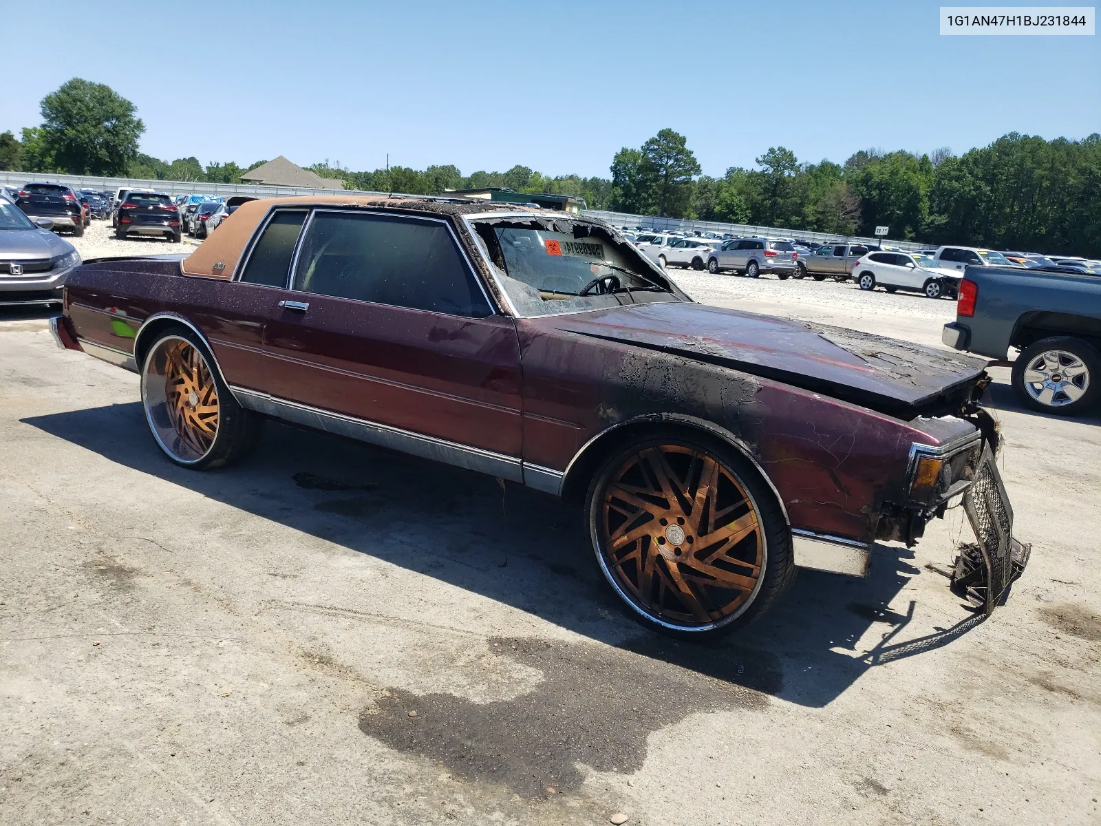 1981 Chevrolet Caprice Classic VIN: 1G1AN47H1BJ231844 Lot: 58289914