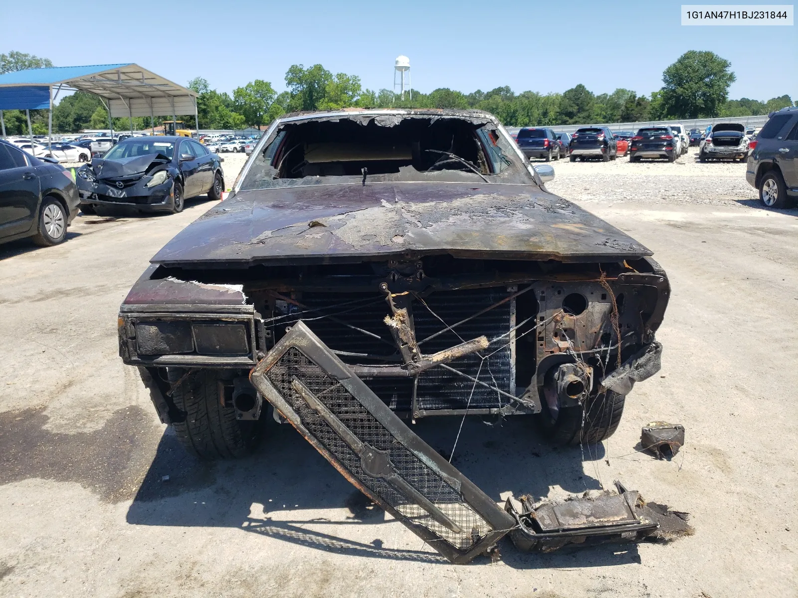1981 Chevrolet Caprice Classic VIN: 1G1AN47H1BJ231844 Lot: 58289914