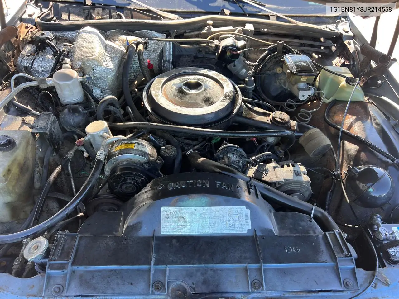 1988 Chevrolet Caprice Classic VIN: 1G1BN81Y8JR214558 Lot: 59442205