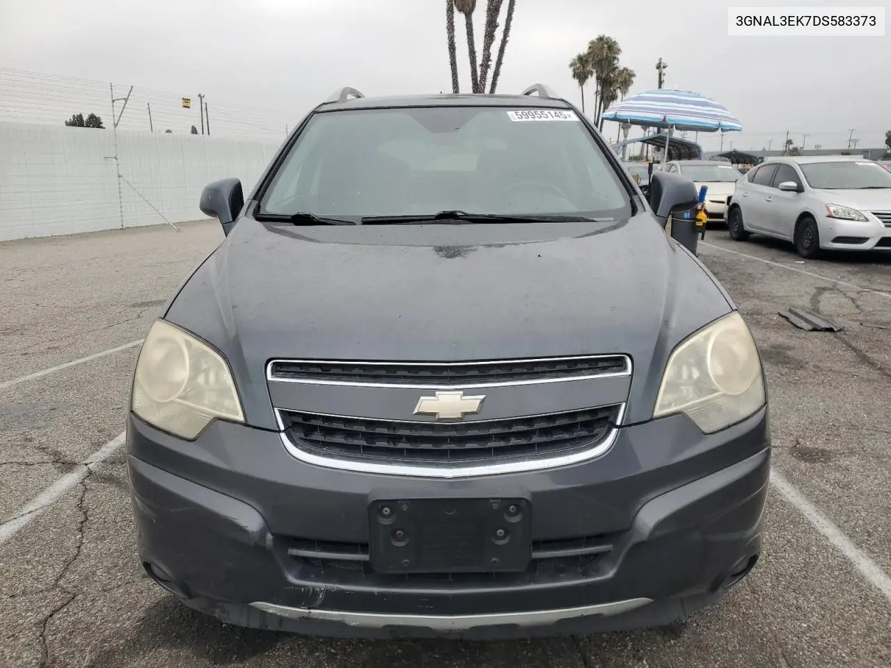 2013 Chevrolet Captiva Lt VIN: 3GNAL3EK7DS583373 Lot: 59955145