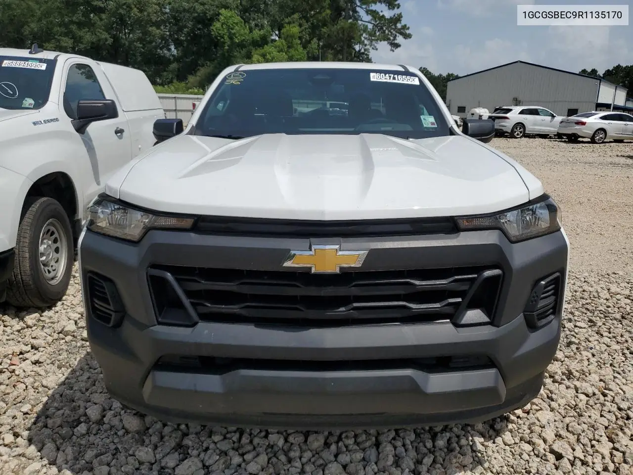 1gcgsbec9r1135170 1GCGSBEC9R1135170 2024 Chevrolet Colorado