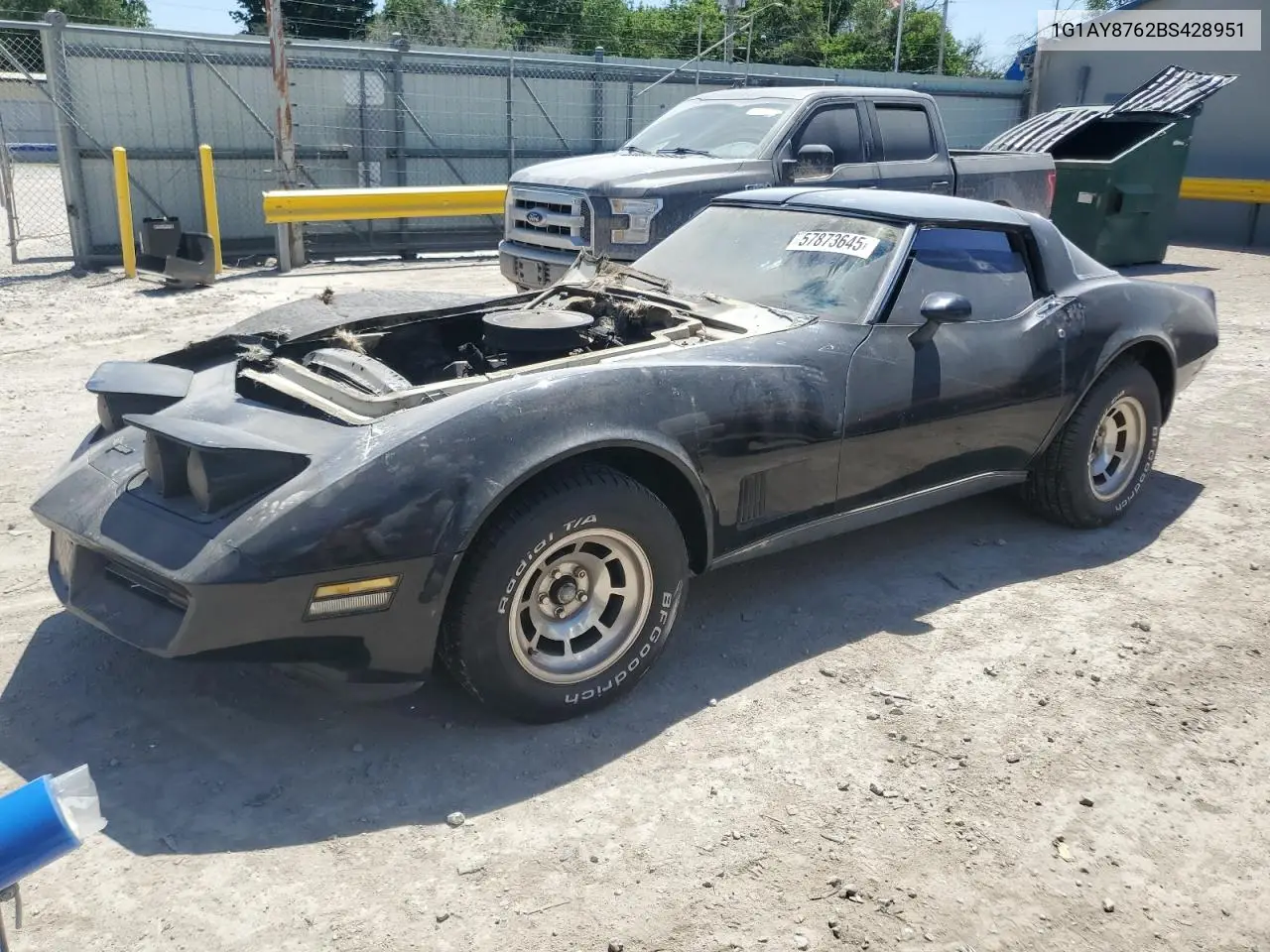 1981 Chevrolet Corvette VIN: 1G1AY8762BS428951 Lot: 57873645