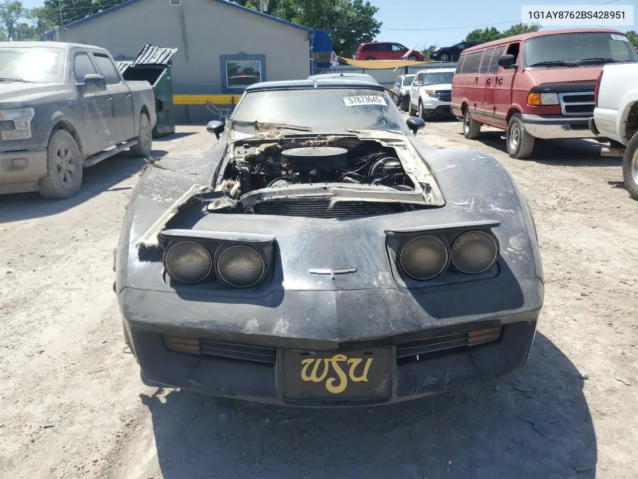 1981 Chevrolet Corvette VIN: 1G1AY8762BS428951 Lot: 57873645