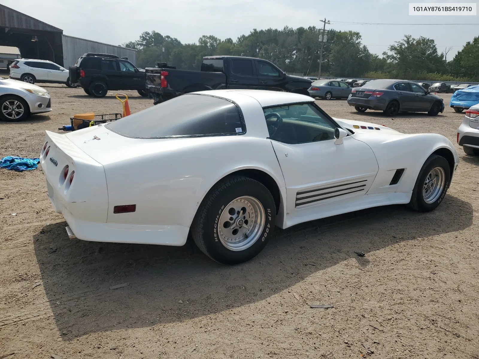 1981 Chevrolet Corvette VIN: 1G1AY8761BS419710 Lot: 66493984