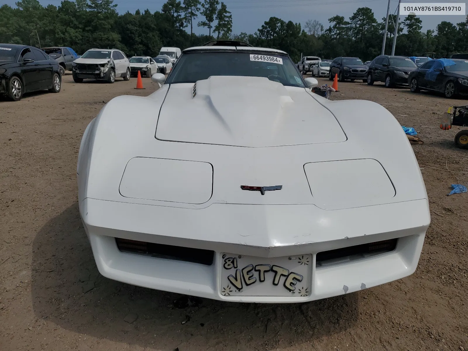1981 Chevrolet Corvette VIN: 1G1AY8761BS419710 Lot: 66493984