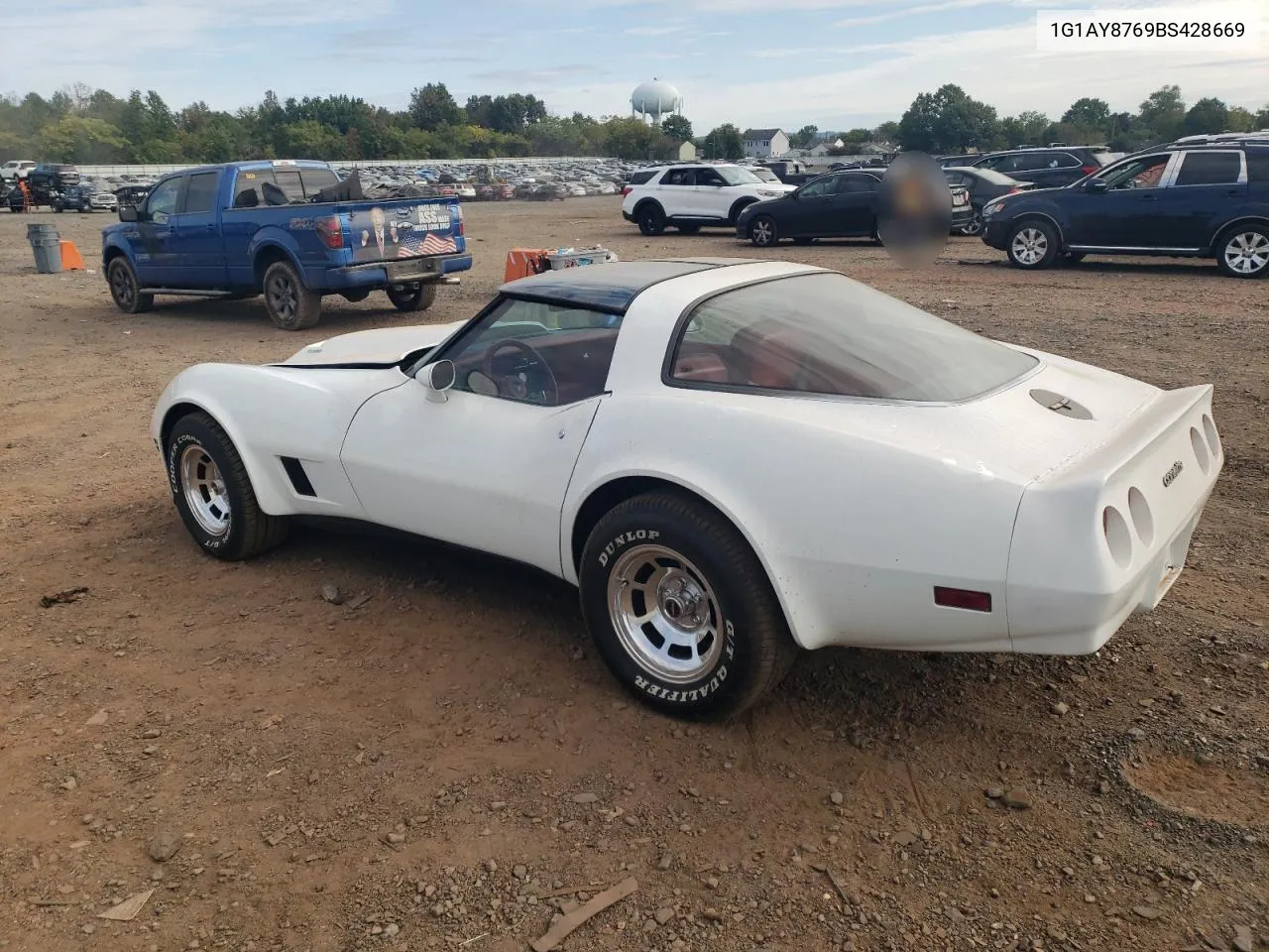 1981 Chevrolet Corvette VIN: 1G1AY8769BS428669 Lot: 72115614