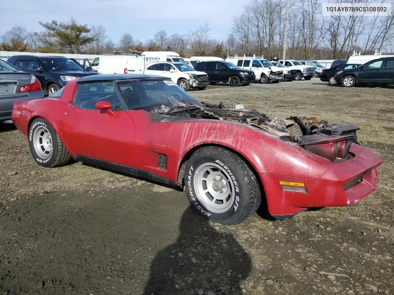 1982 Chevrolet Corvette VIN: 1G1AY8789C5108592 Lot: 44973583