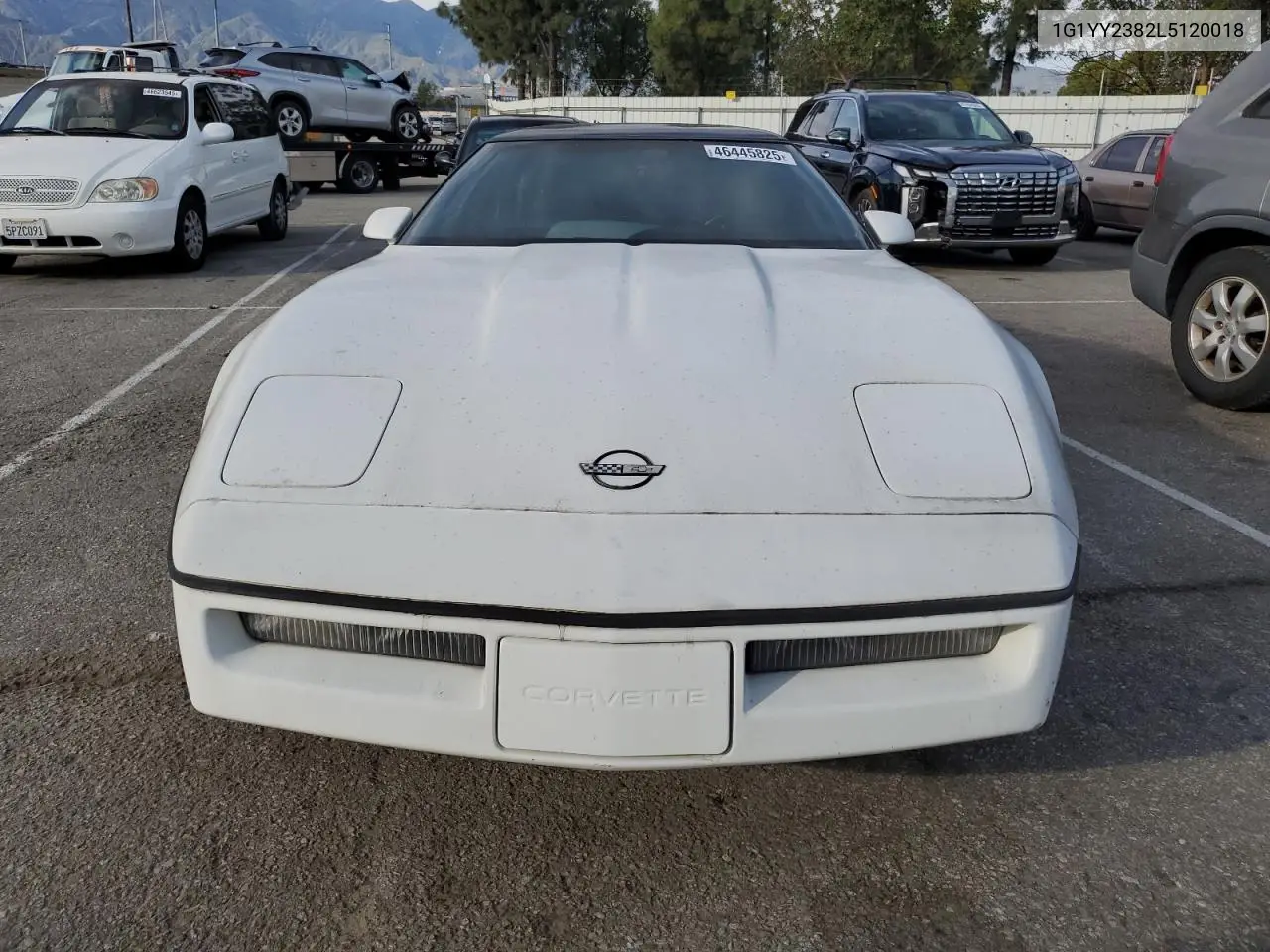 1990 Chevrolet Corvette VIN: 1G1YY2382L5120018 Lot: 46445825