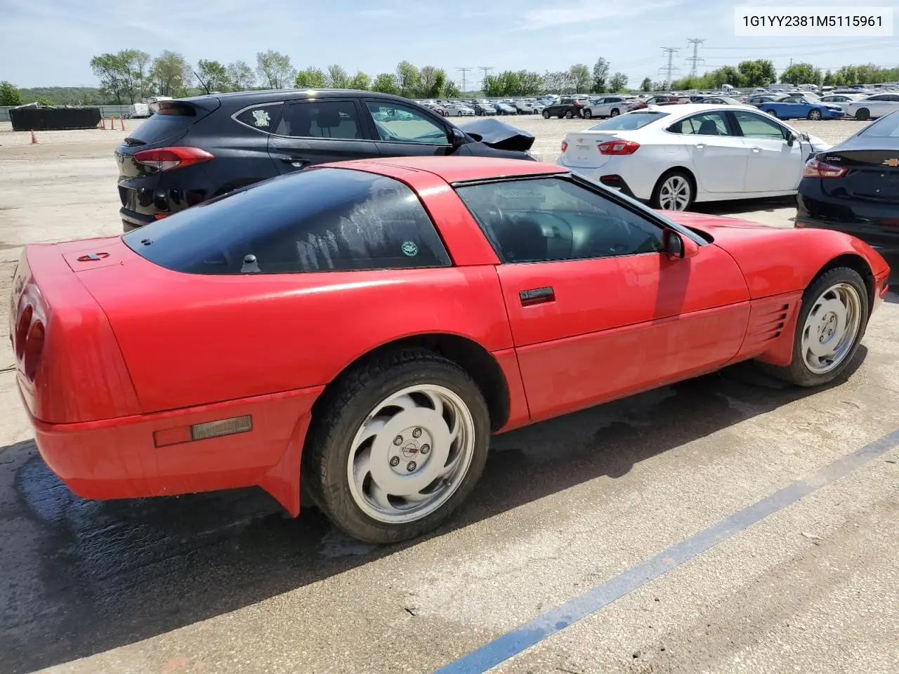 1991 Chevrolet Corvette VIN: 1G1YY2381M5115961 Lot: 56576815