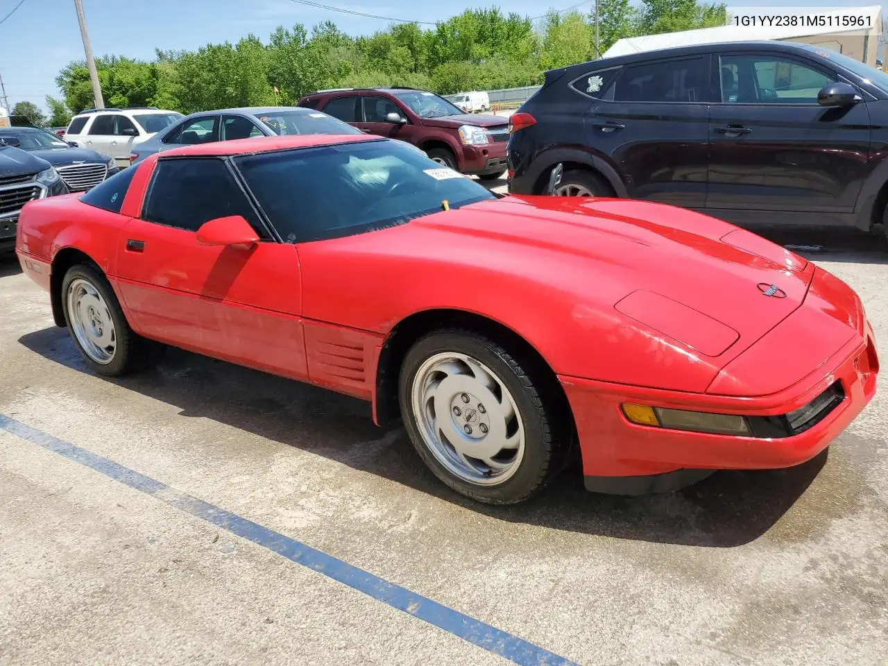 1991 Chevrolet Corvette VIN: 1G1YY2381M5115961 Lot: 56576815