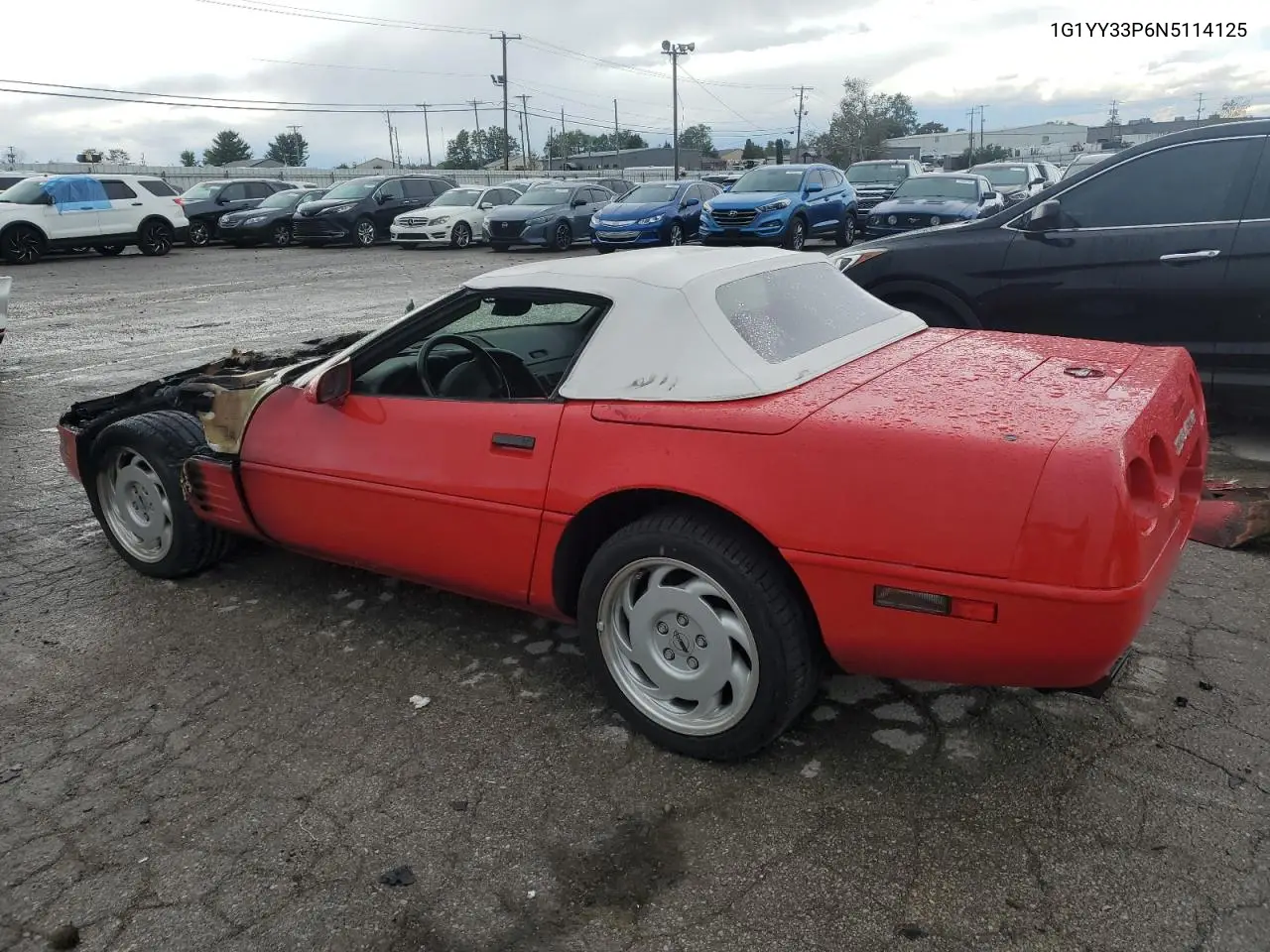1992 Chevrolet Corvette VIN: 1G1YY33P6N5114125 Lot: 74568724