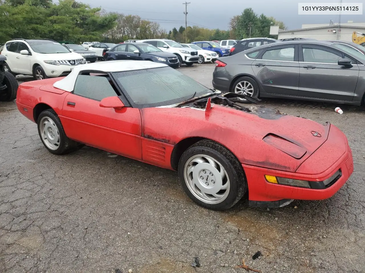 1992 Chevrolet Corvette VIN: 1G1YY33P6N5114125 Lot: 74568724