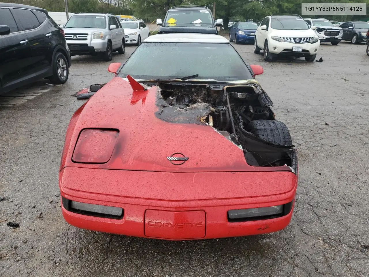 1992 Chevrolet Corvette VIN: 1G1YY33P6N5114125 Lot: 74568724