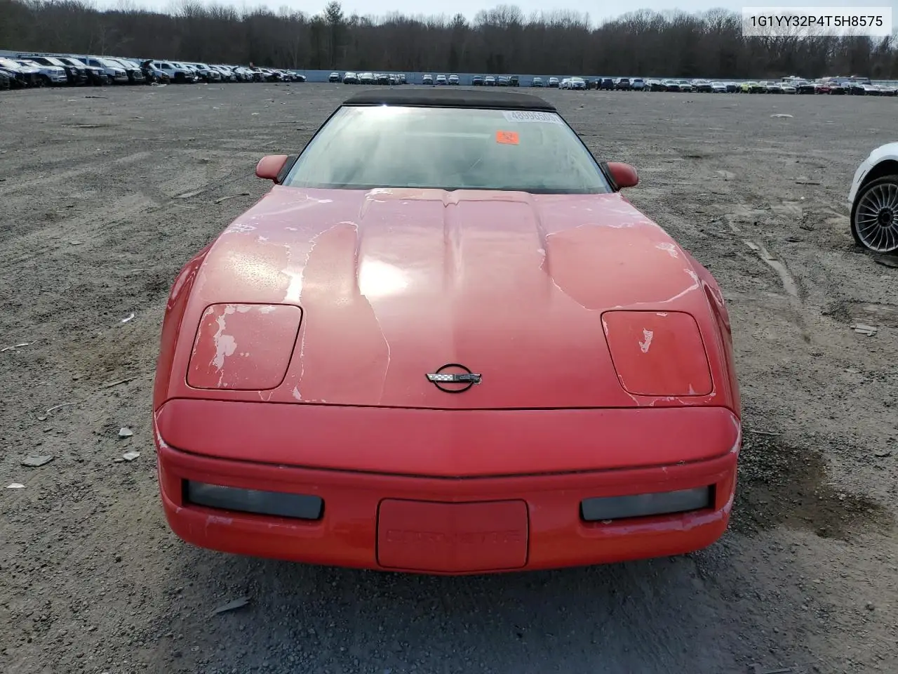 1996 Chevrolet Corvette VIN: 1G1YY32P4T5118575 Lot: 48996505