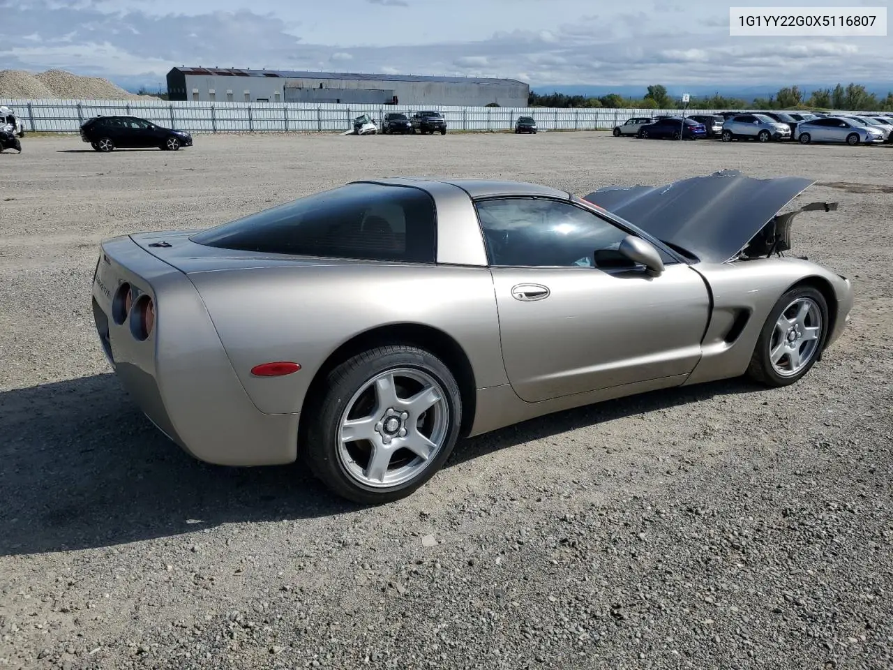 1999 Chevrolet Corvette VIN: 1G1YY22G0X5116807 Lot: 51869185