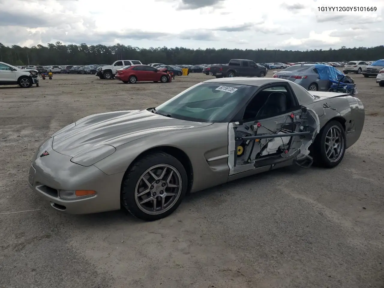 2000 Chevrolet Corvette VIN: 1G1YY12G0Y5101669 Lot: 60156135