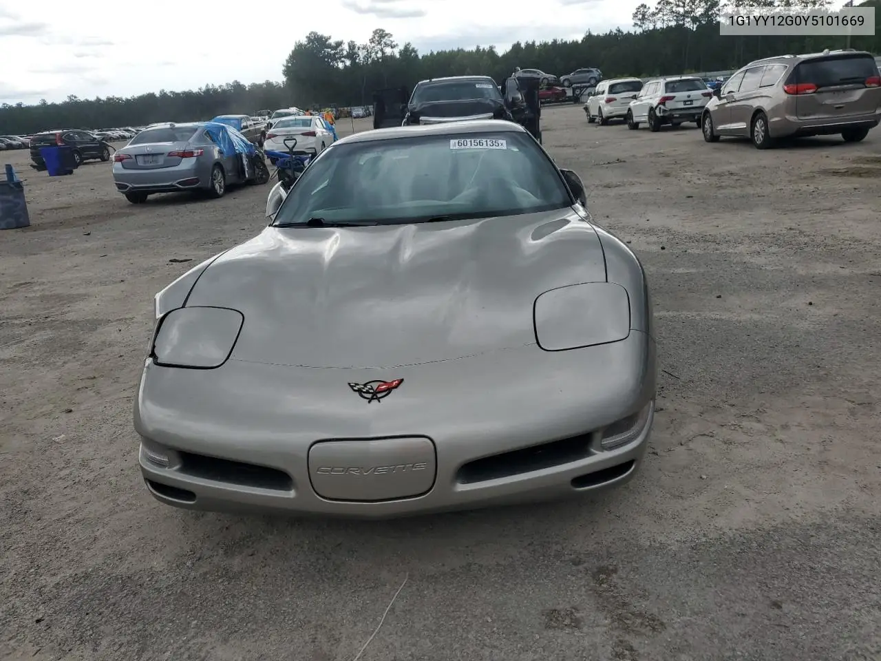 2000 Chevrolet Corvette VIN: 1G1YY12G0Y5101669 Lot: 60156135