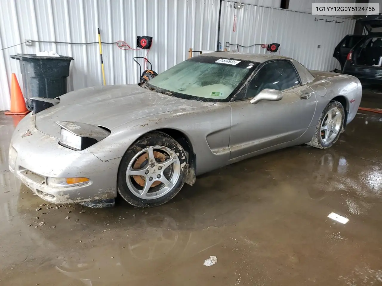 2000 Chevrolet Corvette VIN: 1G1YY12G0Y5124756 Lot: 61804935